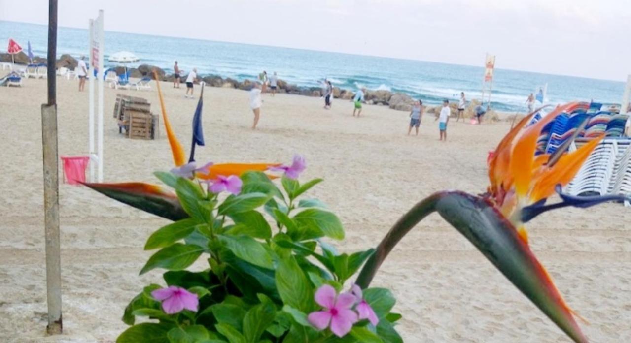 612 Apartment On The Beach Bat Yam Bagian luar foto